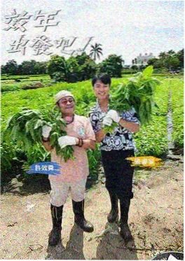 美食慢综厨房夜航海报